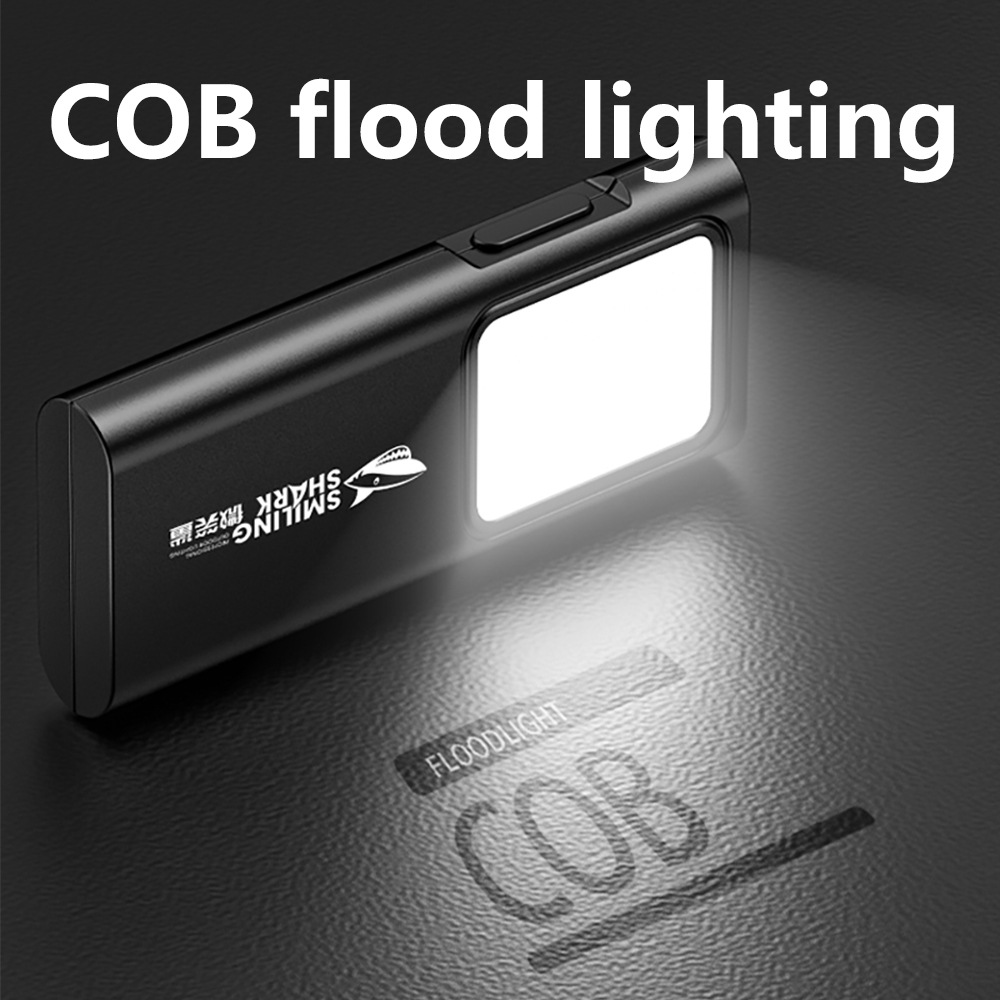 USB-C Rechargeable Mini EDC Po - Edc (Every Day Carry avis et prix